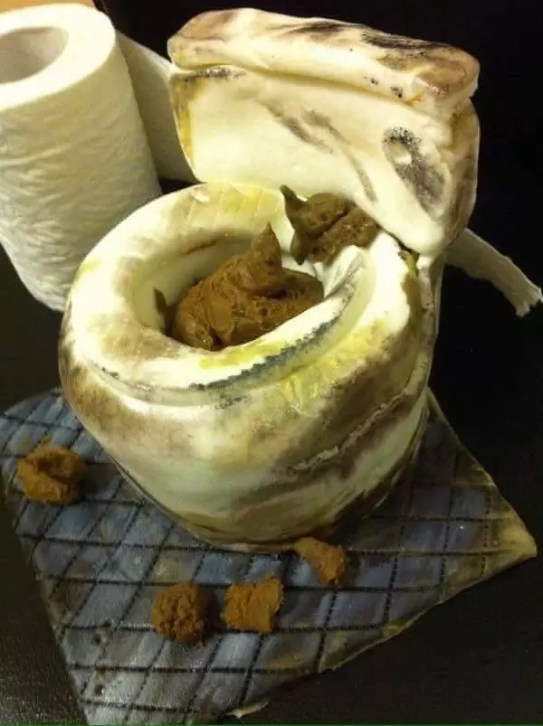 Gross Poop Cake