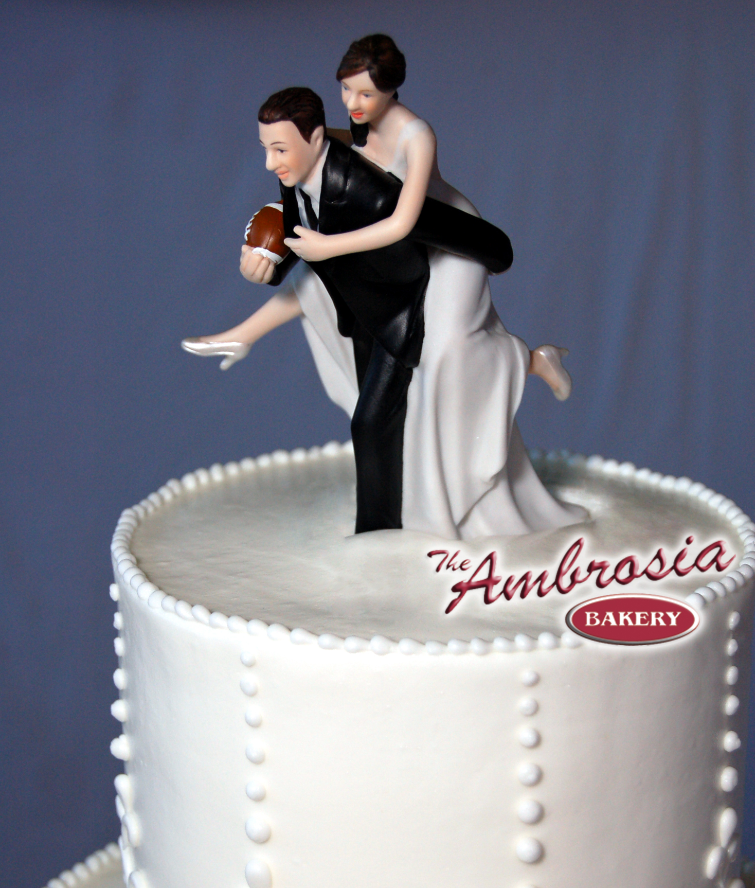 Wedding Cake Toppers Bride and Groom