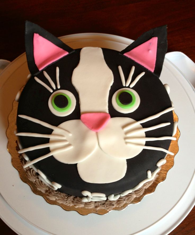 7 Cat Party For Birthday Cakes Photo Cat Birthday Cake Cat