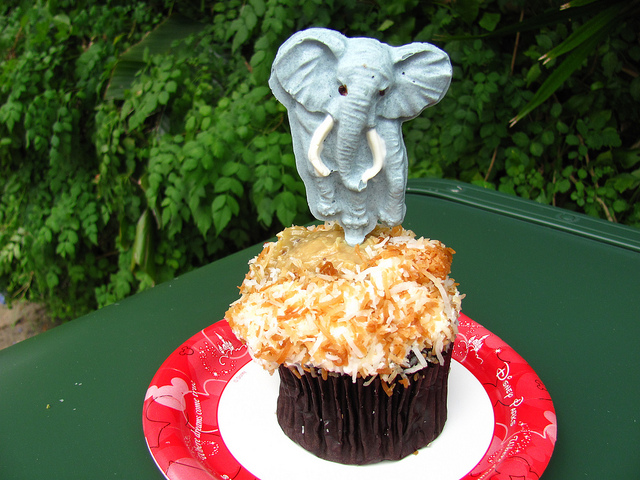 Disney World Bakery Cupcakes