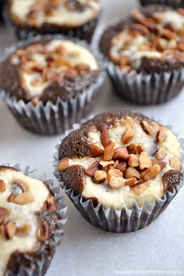 Mini Chocolate Chip Cheesecake Cupcake Recipe