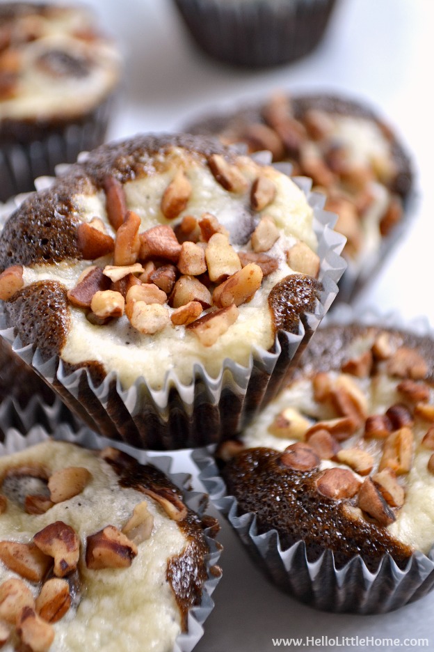 Mini Chocolate Chip Cheesecake Cupcake Recipe