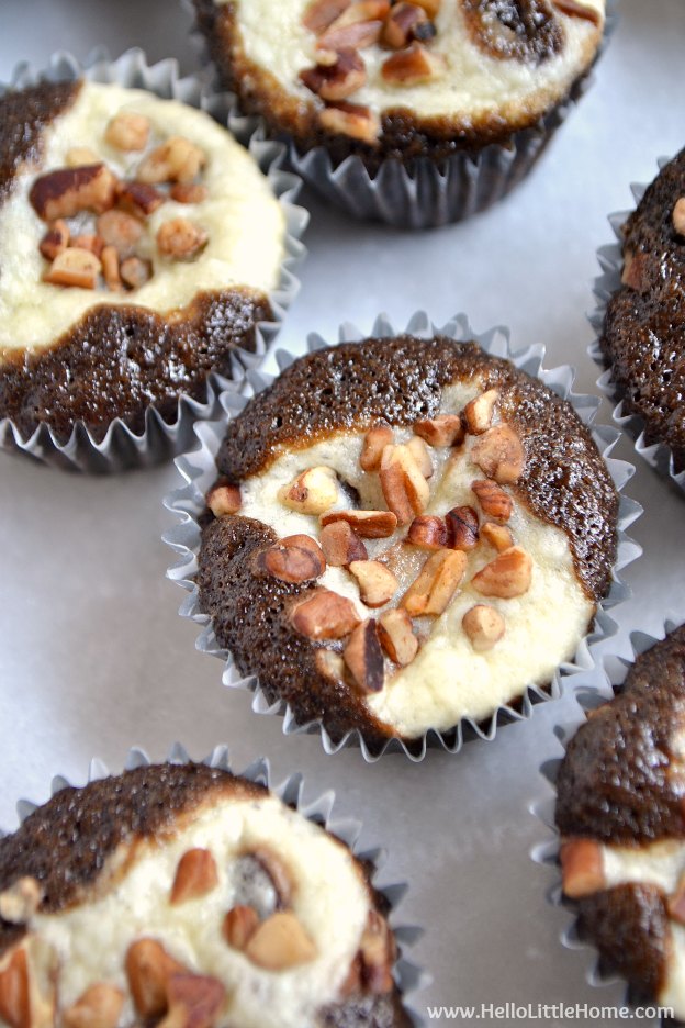 Mini Chocolate Chip Cheesecake Cupcake Recipe