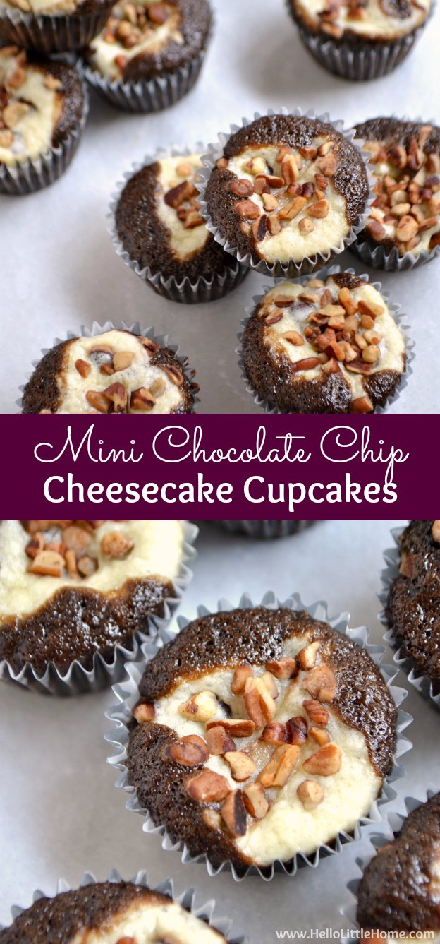 Mini Chocolate Chip Cheesecake Cupcake Recipe