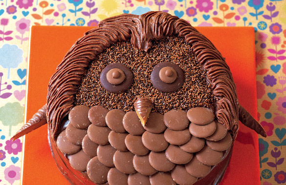 Owl Birthday Cake Chocolate