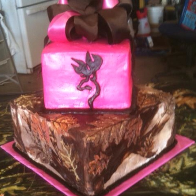 Camo 16 Birthday Cakes for Girls