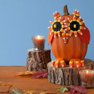 Candy Corn Pumpkin Owl