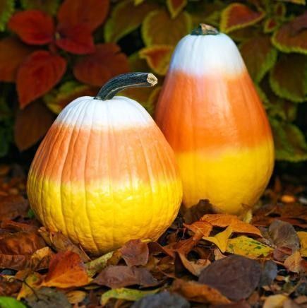 Candy Corn Pumpkins