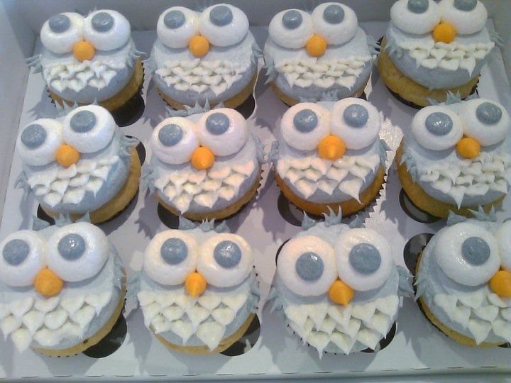 Cute Owl Cupcakes