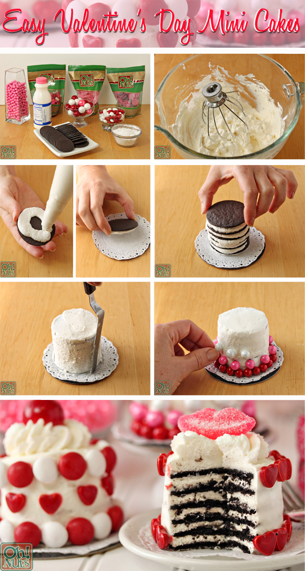 DIY Valentine's Day Mini Cakes