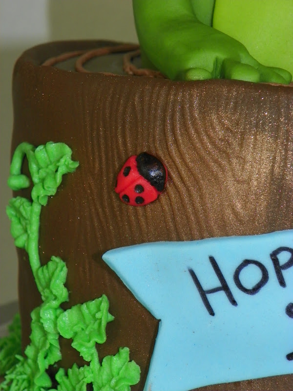 Leap Year Birthday Cake