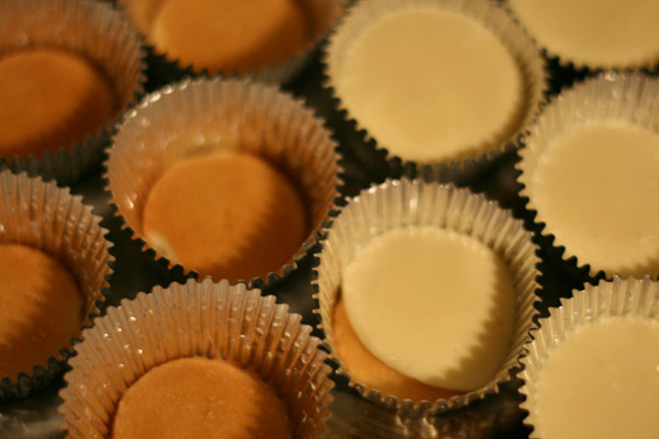 Mini Cherry Cheesecakes with Vanilla Wafers