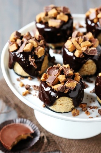 Reese's Peanut Butter Mini Cheesecakes