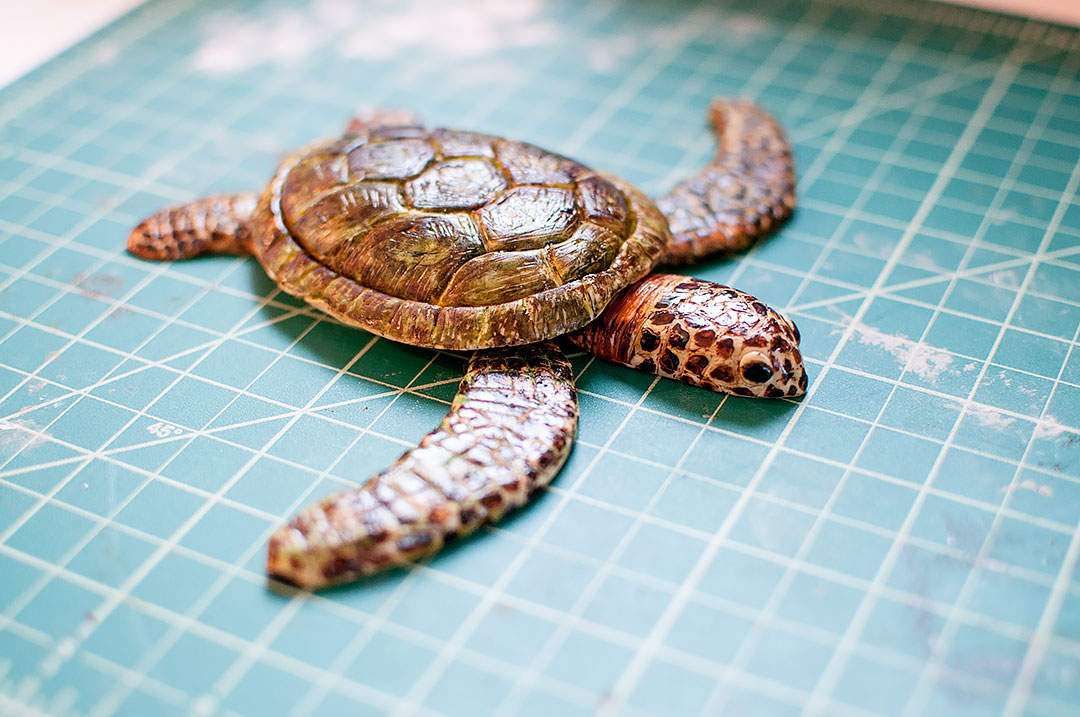 Sea Turtle Cake