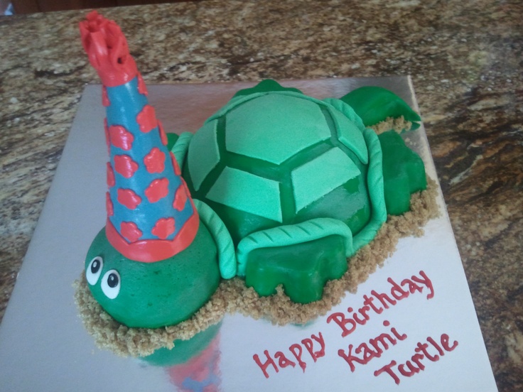 Turtle Shaped Birthday Cake