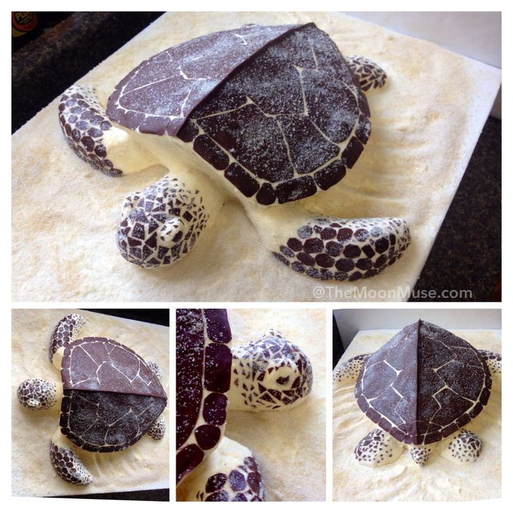 Turtle Shaped Cake