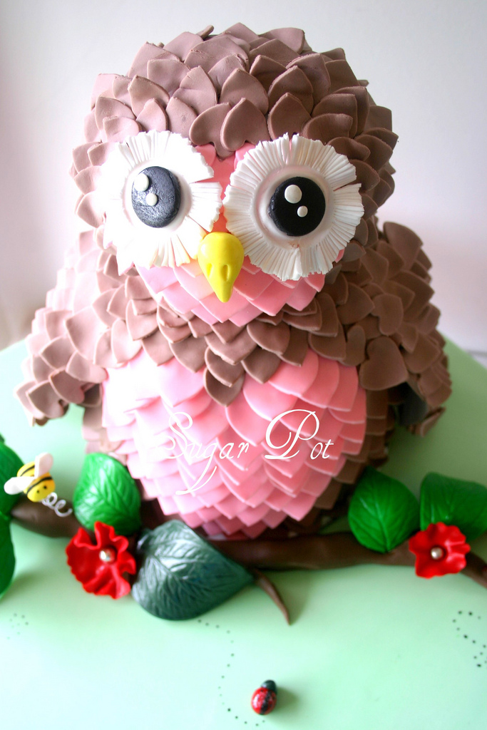 9 Photos of Pink Owl Shaped Cakes