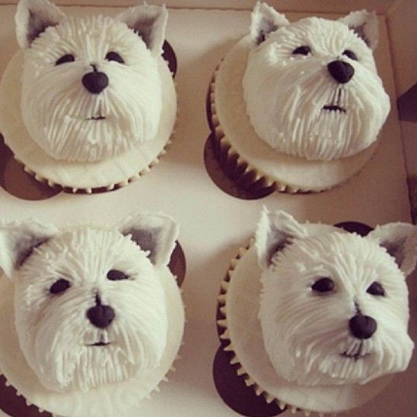 12 White Doggie Cupcakes Photo Cute Puppy Dog Cupcakes Cupcakes