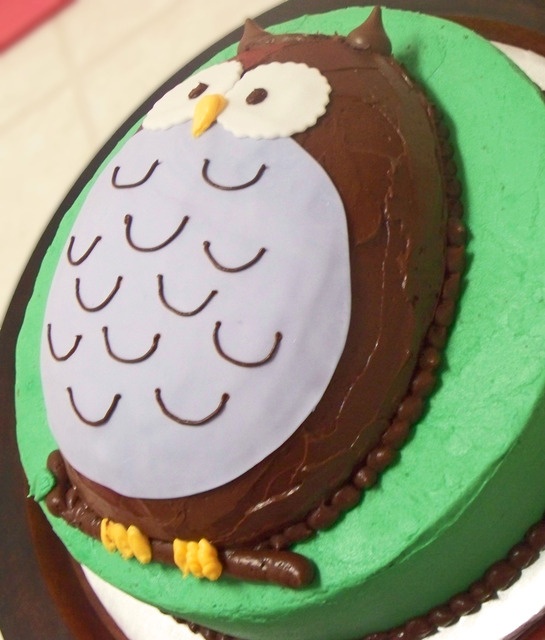 Owl Cake Idea