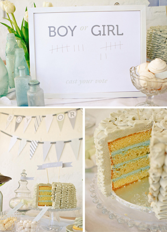 Baby Gender Reveal Party Ideas