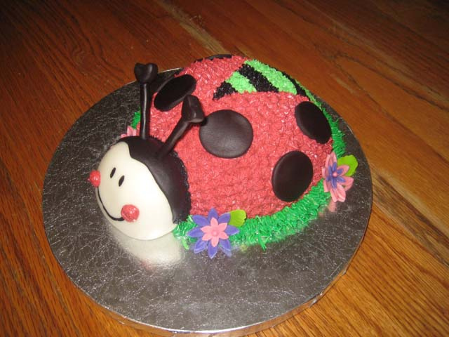 Ladybug Birthday Cake