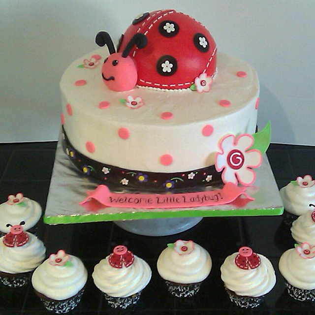 Ladybug Cake