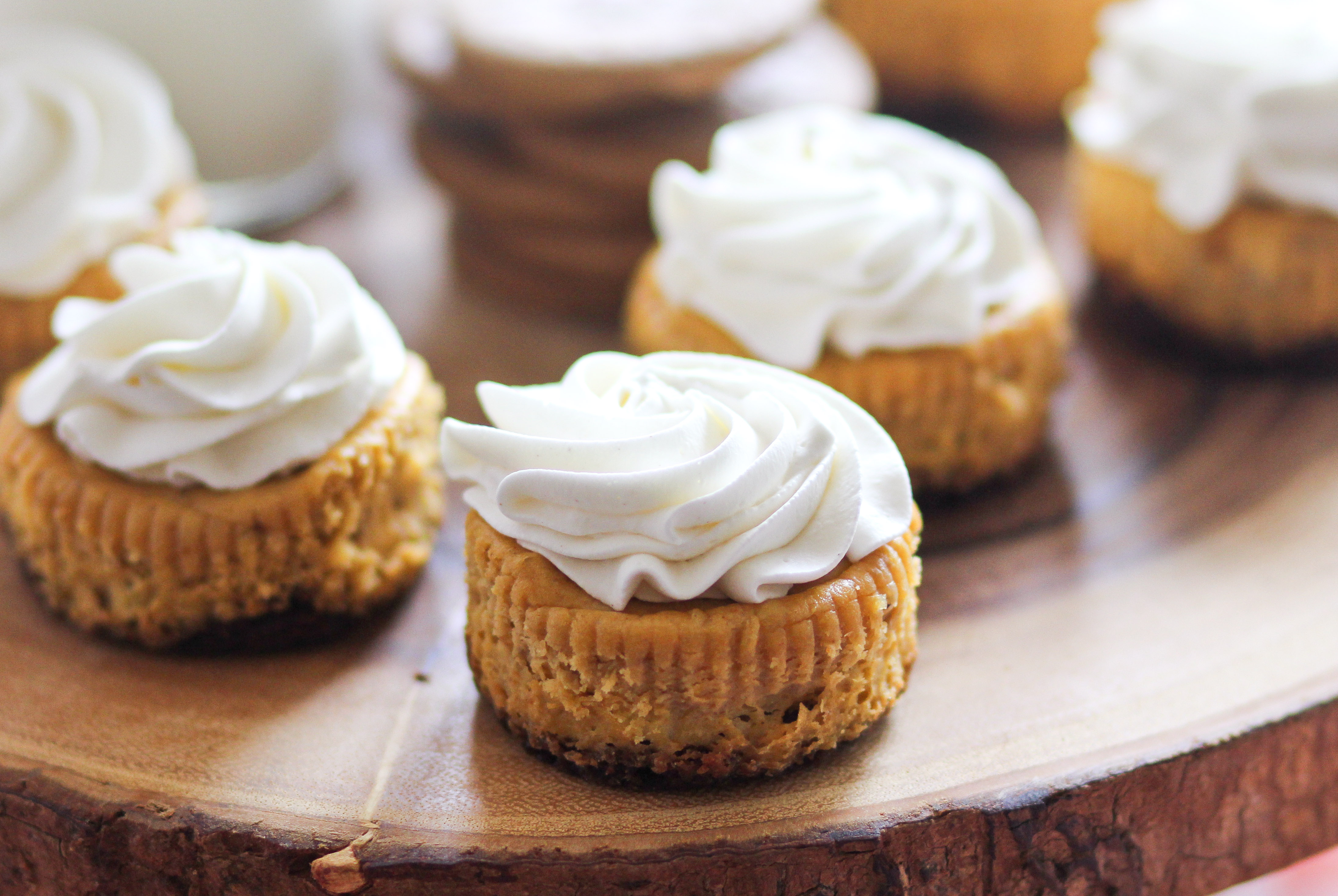 Mini Pumpkin Cheesecakes Recipe