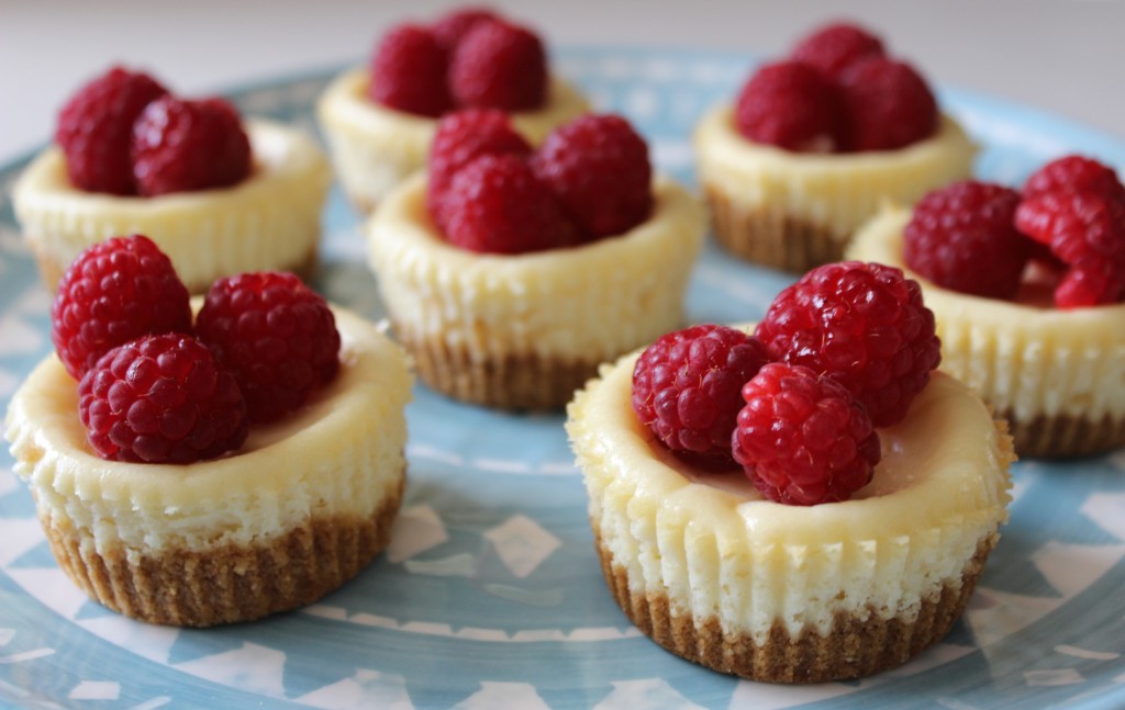 Easy Cheesecake Bites Recipe