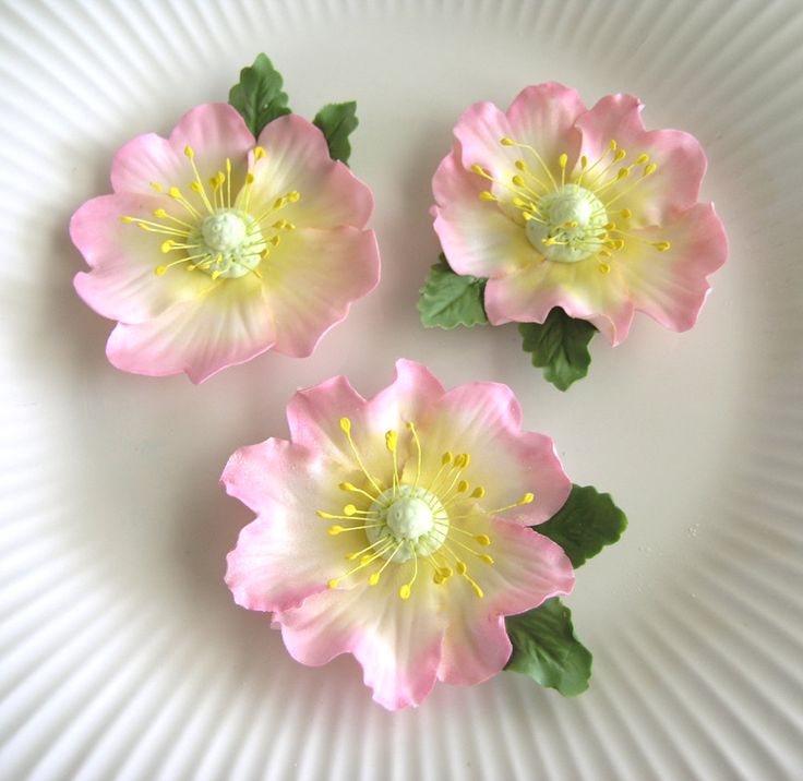 Edible Gum Paste Flowers for Cakes