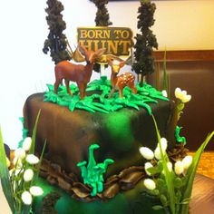 Hunting Birthday Cake