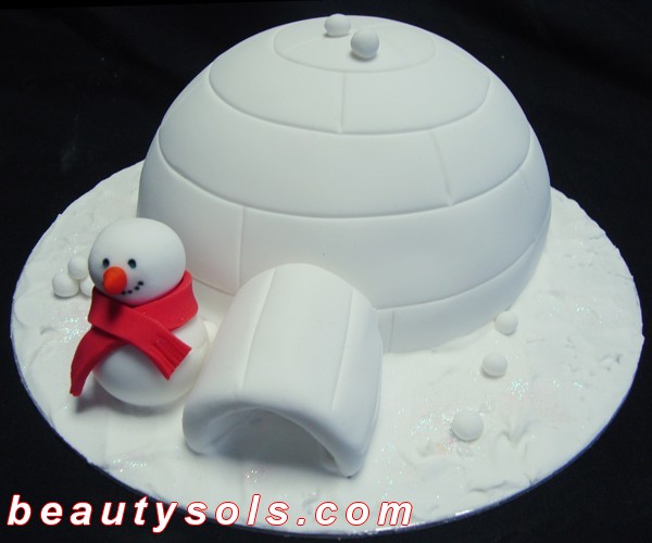 Christmas Cake Igloo