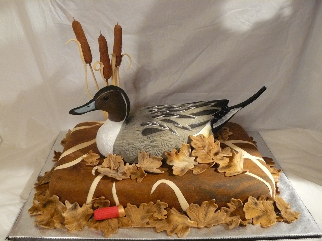 Duck Hunter Grooms Cake