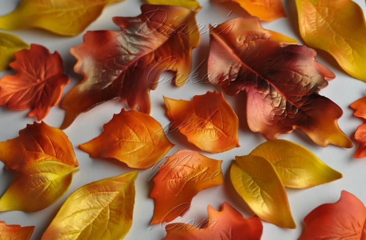 Fall Leaves Cake Decorations Edible