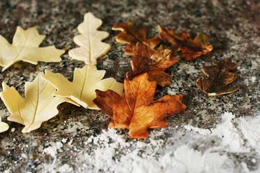 How to Make Gum Paste Leaves