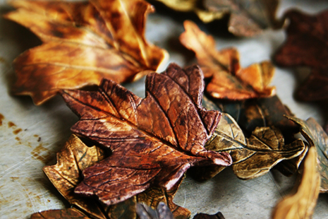 How to Make Gum Paste Leaves