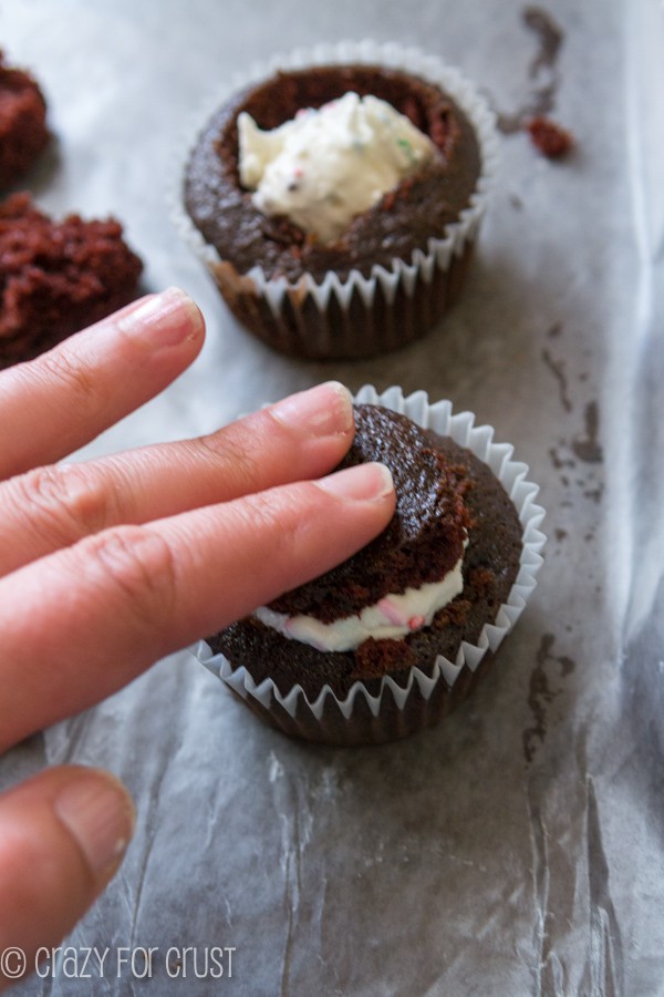 Ice Cream Cupcakes