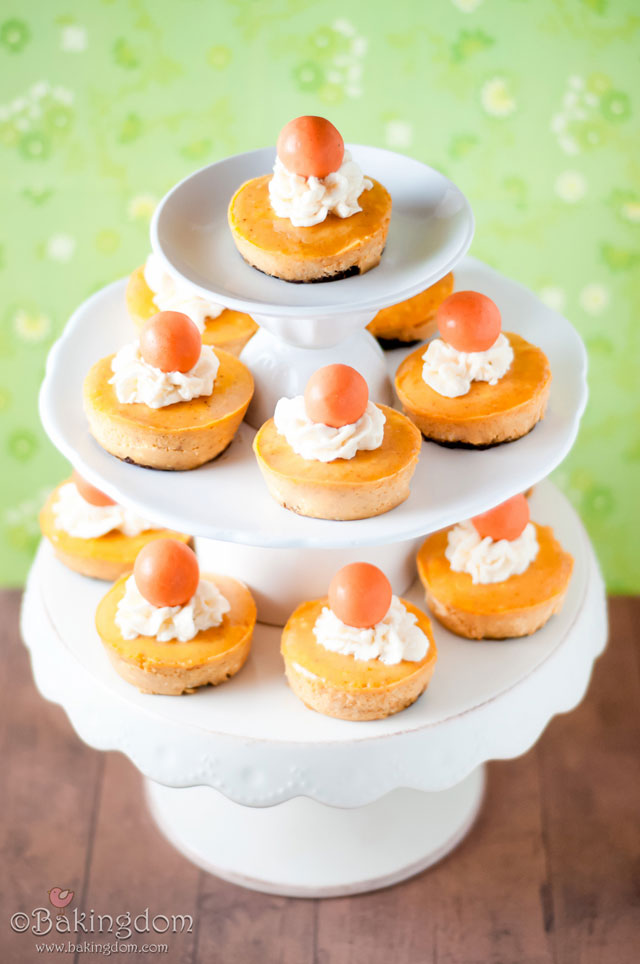 Mini Pumpkin Cheesecakes with Ginger Snaps