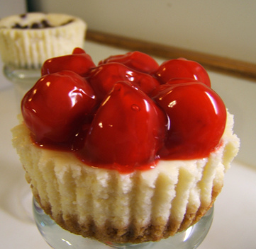 Easy Cheesecake Cupcakes Recipe