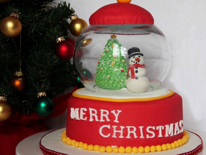 Christmas Cake Decorating Ideas