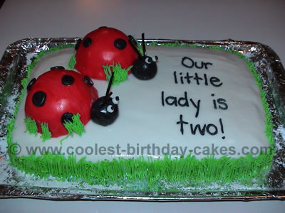 Ladybug Birthday Cake