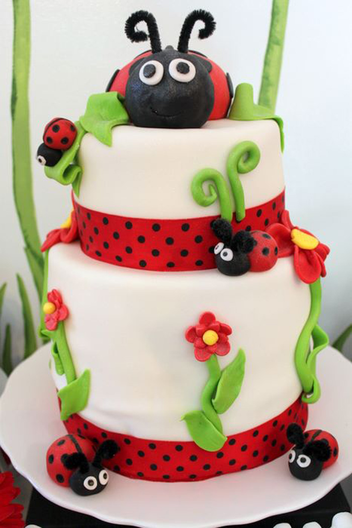 Ladybug Birthday Party Ideas