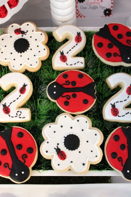 Ladybug Birthday Party Ideas