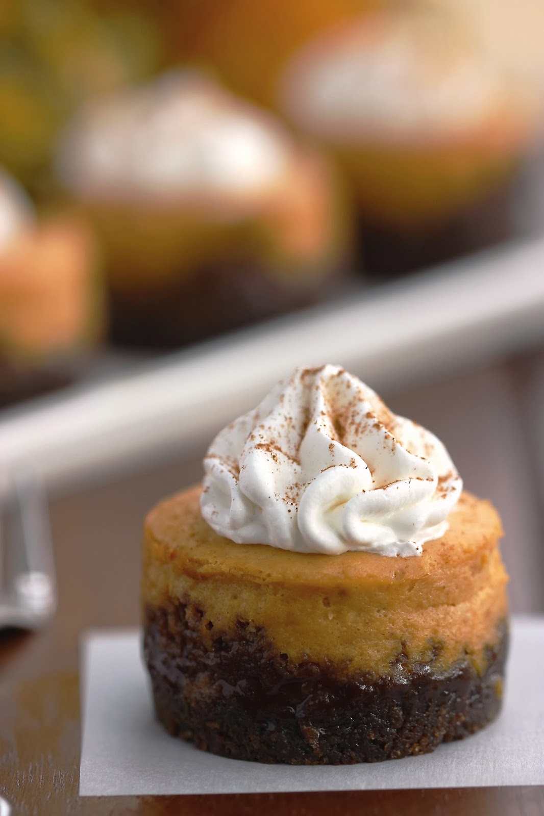 Pumpkin Cheesecake with Gingersnap Crust