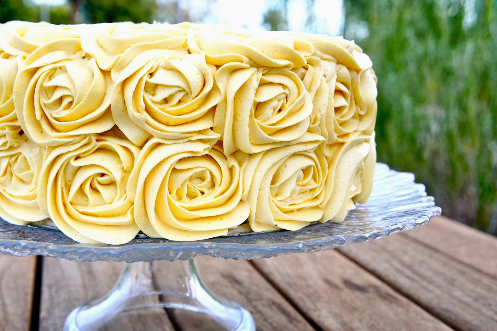 Chocolate Rose Cake