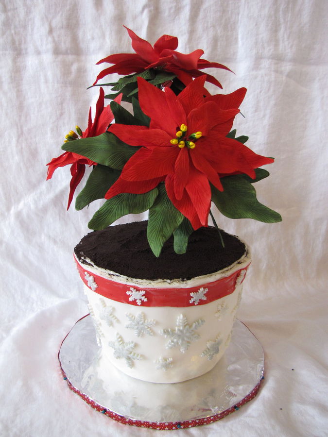 Christmas Cake with Poinsettia