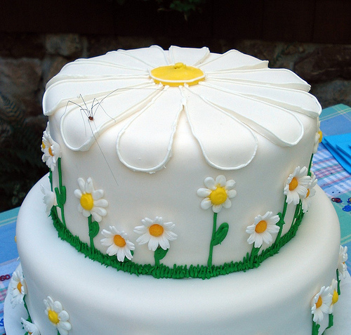 Daisies Flowers Birthday Cake