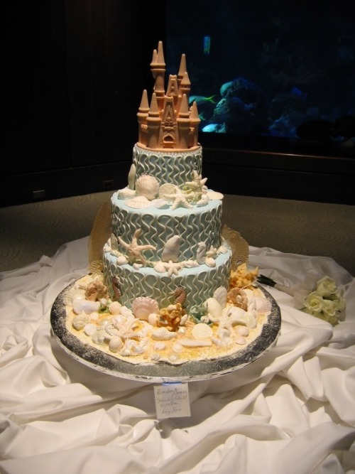 11 Photos of Disney Sand Castle Wedding Cakes