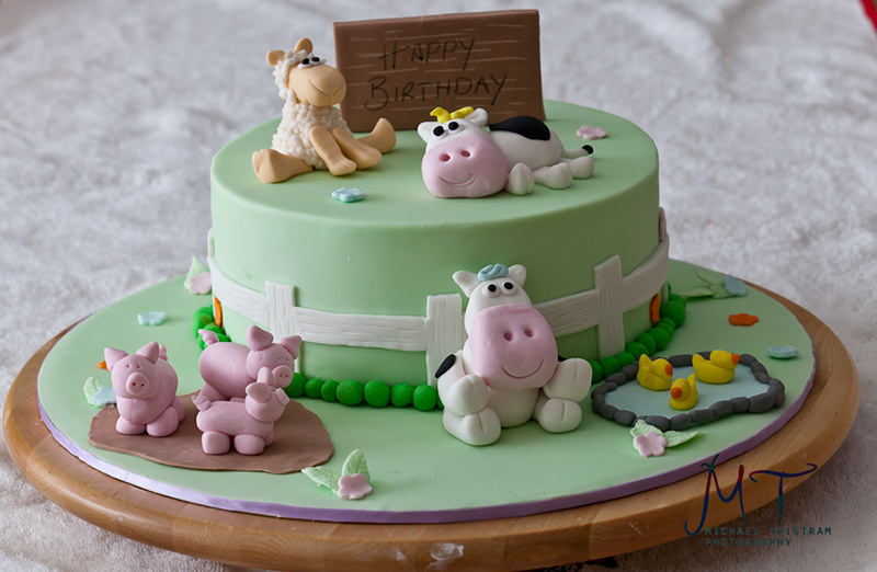 Farm Birthday Cake