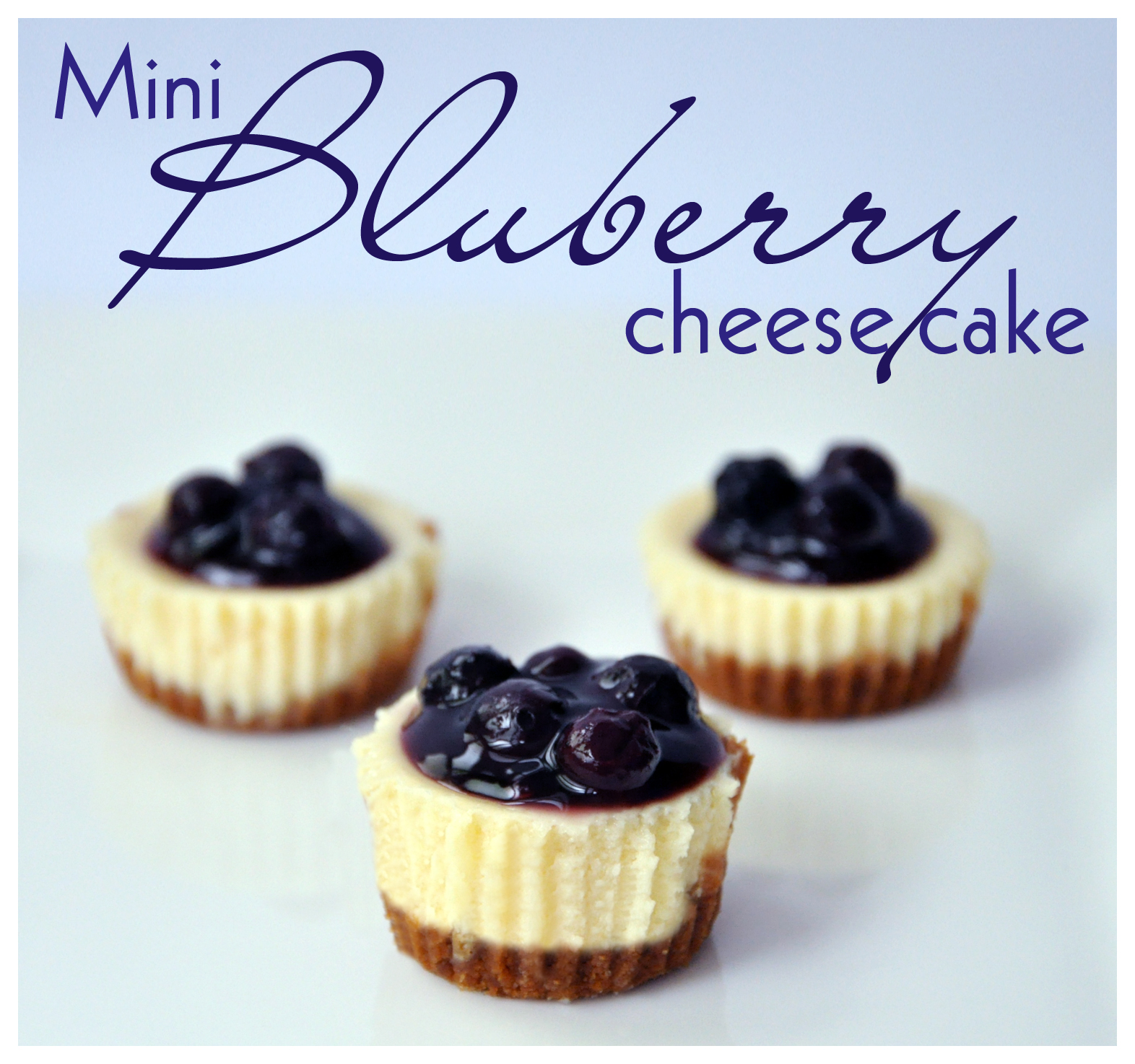 5 Photos of Mini Blueberry Swirl Cheesecakes