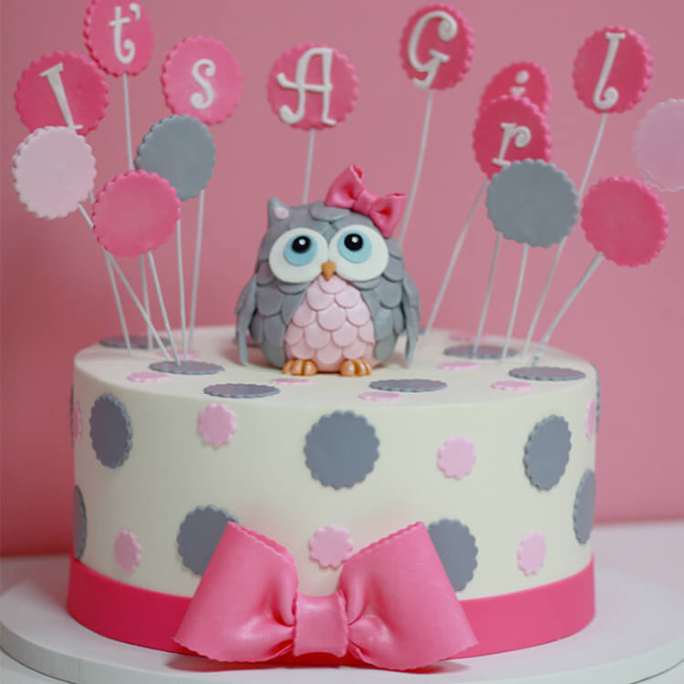 Baby Girl Owl Baby Shower Cake